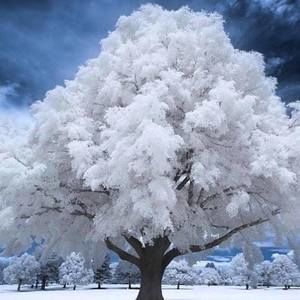 Meet your Posher, Eileen